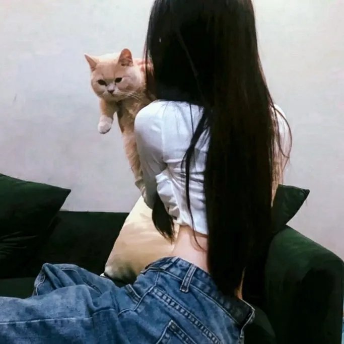 一见又倾心