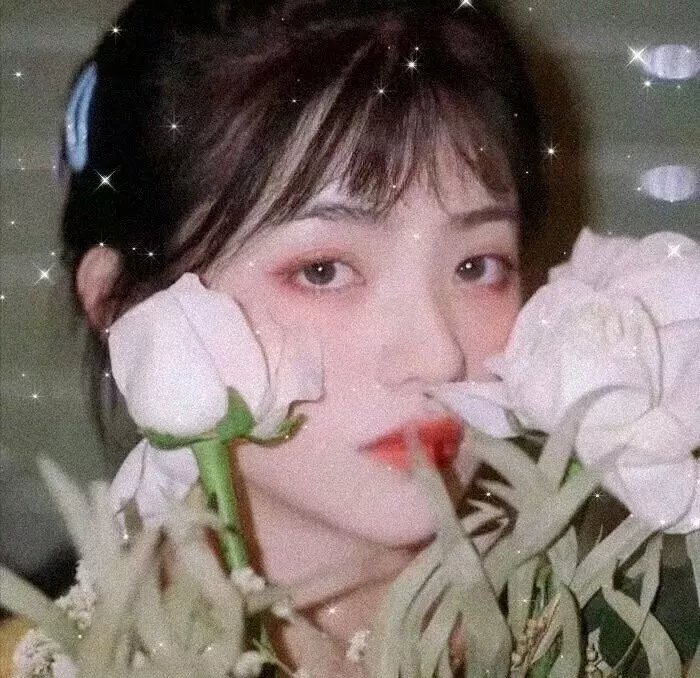 万物生灵 第二季